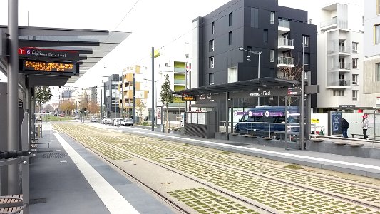 Lyon 8e - Avenue Jean Mermoz, arrêt du tramway T6 - Mermoz - Pinel, après ouverture