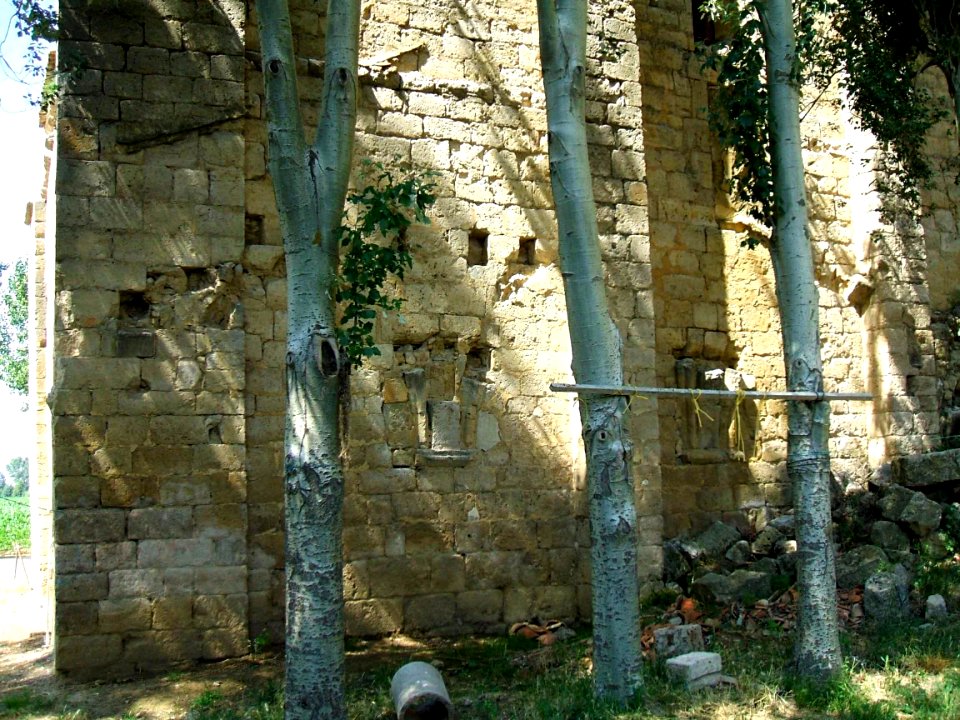 Mº de Santa Cruz de la Zarza 14