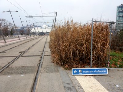 Lyon 7e - Voie d'accès au pont Raymond Barre, depuis Gerland et panneau musée des Confluences à 5 mn