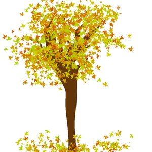 Leaf autumn season