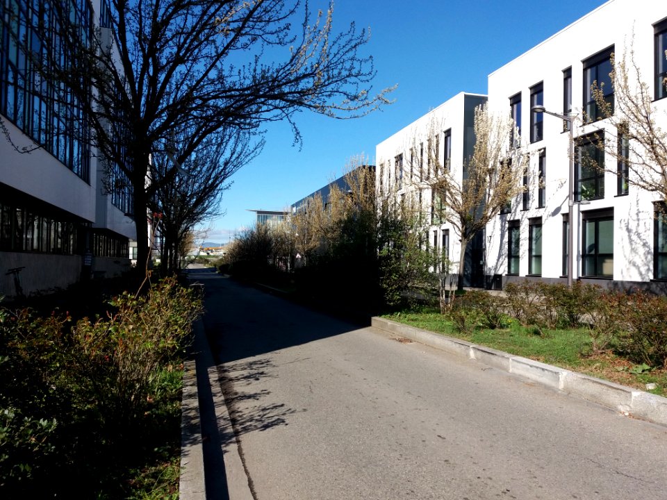 Lyon 7e - Rue Professeur Jean Bernard, depuis la rue Saint-Jean de Dieu