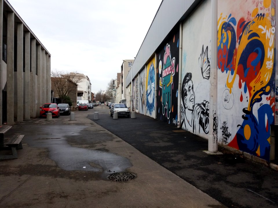 Lyon 7e - Rue Prosper Chappet, depuis le sud
