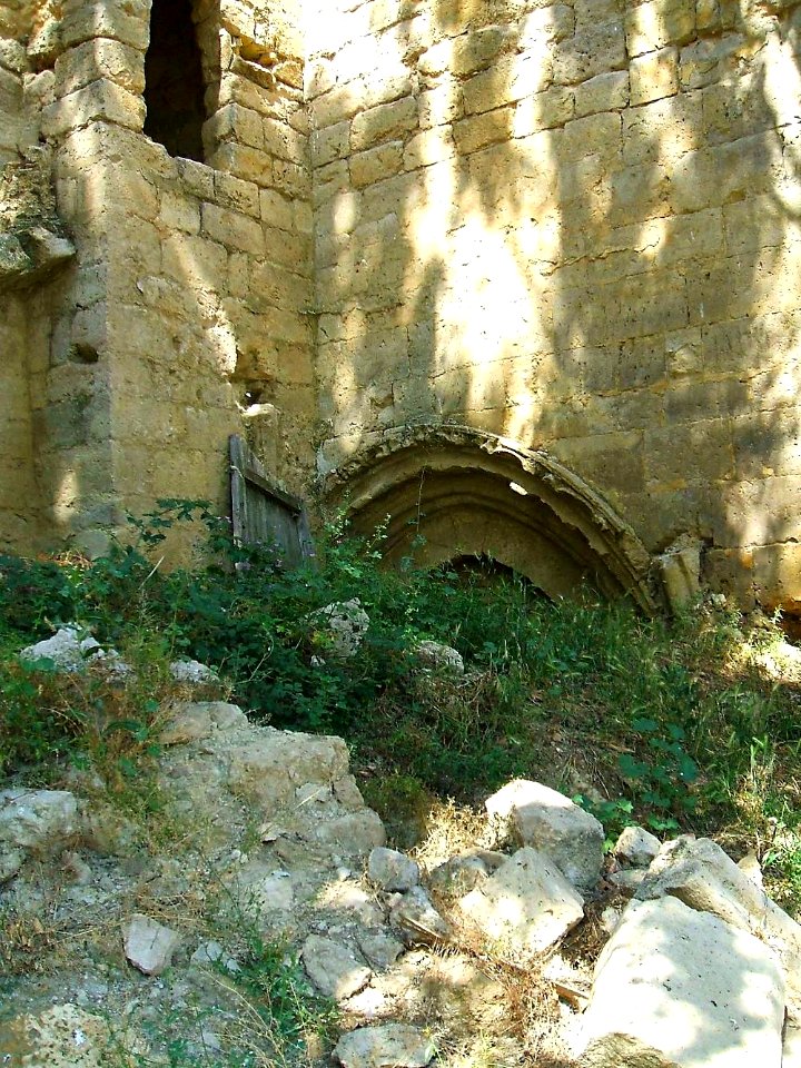 Mº de Santa Cruz de la Zarza 15