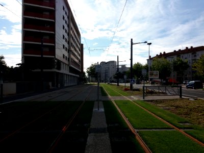 Lyon 7e - Rue Simon Fryd, voies du tramway, vers l'est