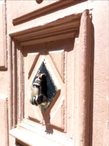 Lyon 7e - Rue Rachais, château de la Buire, porte d'entrée au numéro 6, heurtoir