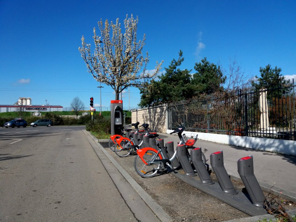Lyon 7e - Rue Professeur Jean Bernard, station Velo'v