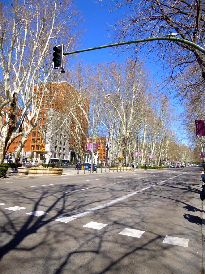 Madrid - Paseo del Prado en 2018 (4)