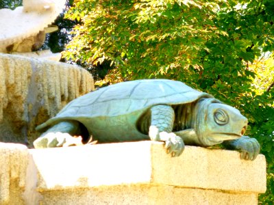 Madrid - Parque del Retiro - Fuente de los Galápagos 3
