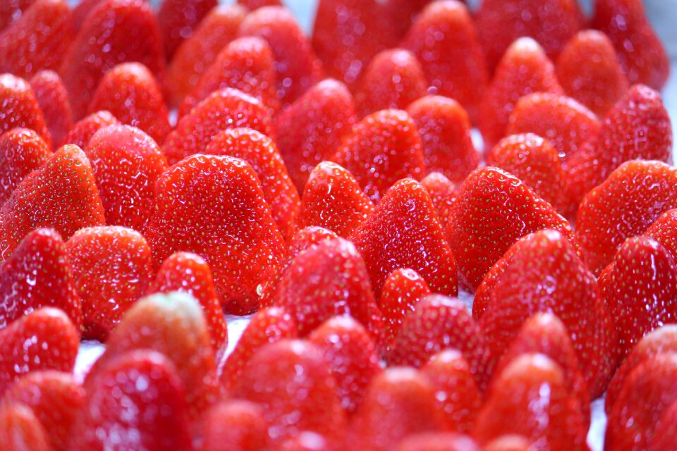 Food delicious red