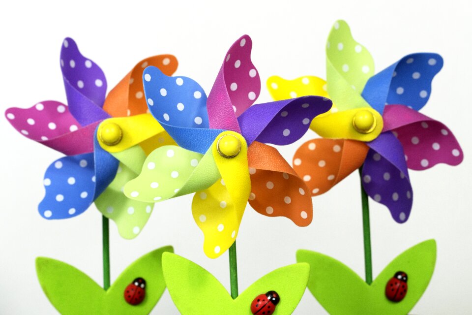 Bright colorful blooming