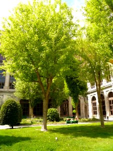 Madrid - Patio del Edificio Sabatini (MNCARS) 05