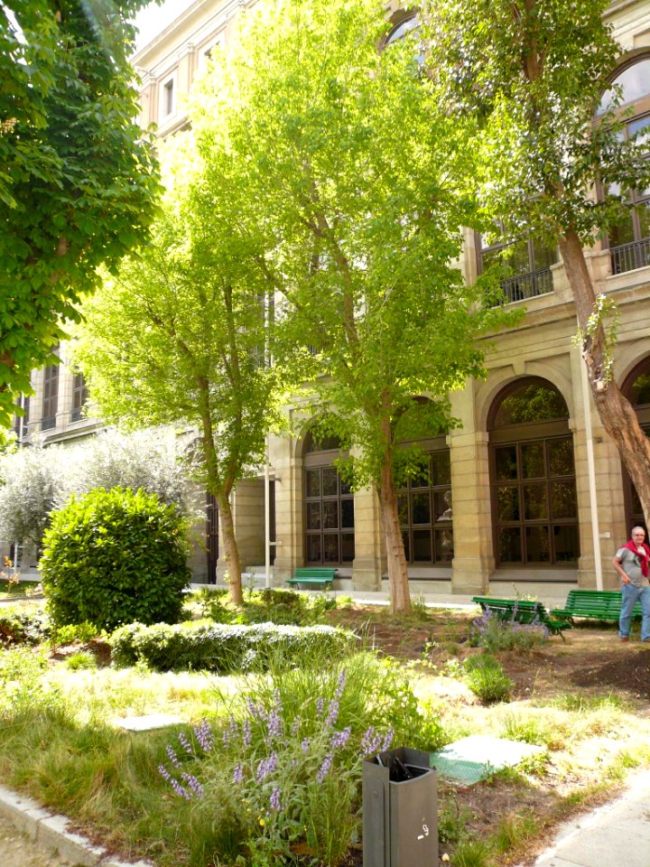 Madrid - Patio del Edificio Sabatini (MNCARS) 07