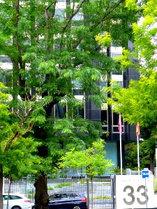 Madrid - Edificio La Unión y el Fénix (actual Mutua Madrileña, Paseo de la Castellana 33) 2