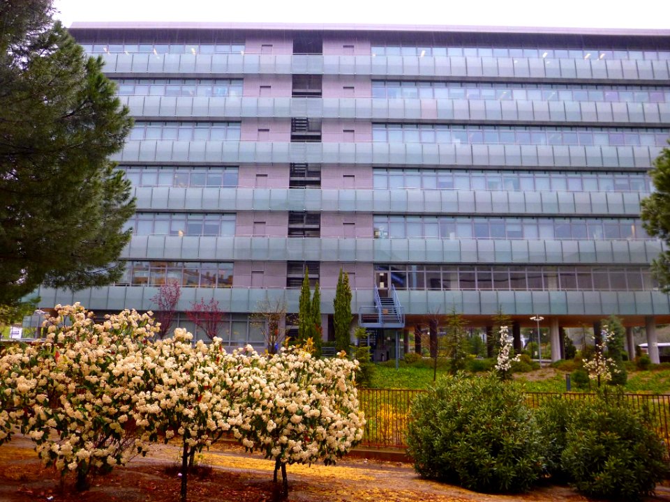 Madrid - L'Oreal España 4