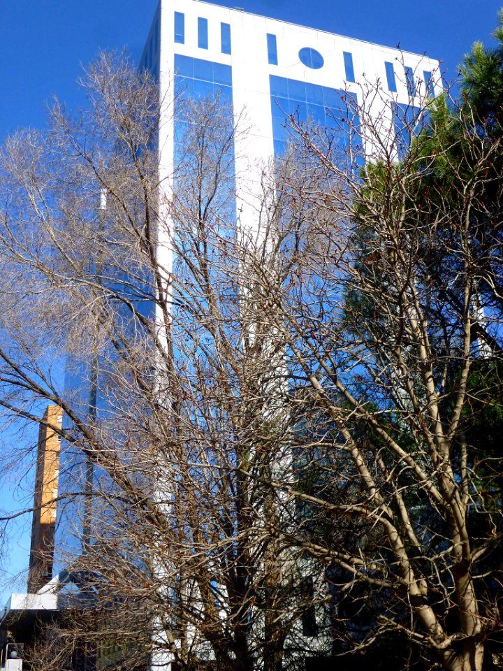 Madrid - Edificio Gorbea 3 (1)