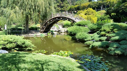 Zen pond oriental photo