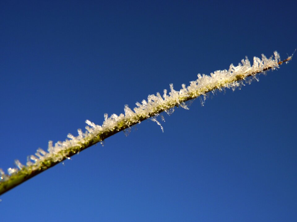 Winter eiskristalle cold