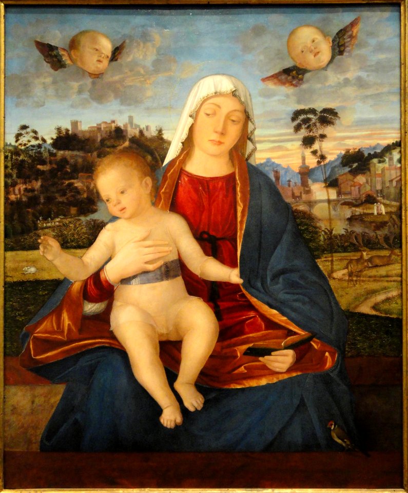 Madonna and Child, Vittore Carpaccio, c. 1505-1510, oil on panel - National Gallery of Art, Washington - DSC08842