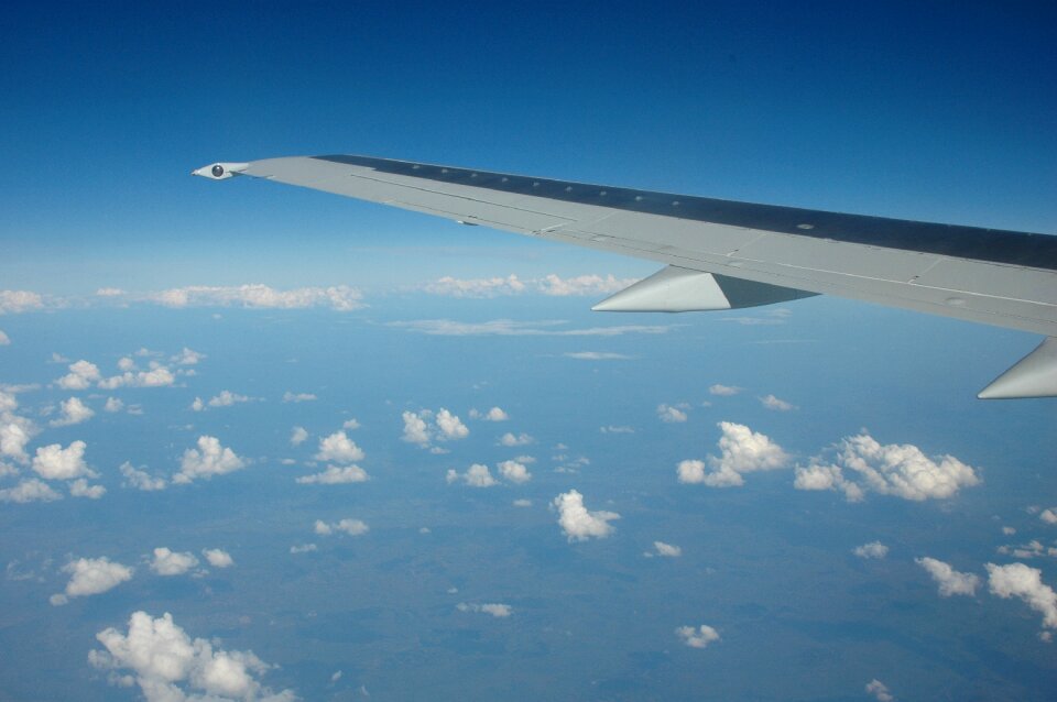 Wings travel airfare