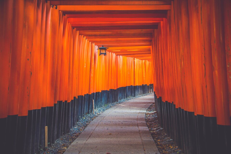 Color famous japanese culture