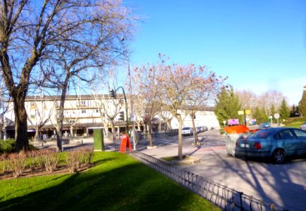 Madrid - El Pardo 06