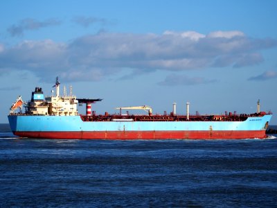 Maersk Rosyth (ship, 2003) IMO 9236987 arriving at Prot of Rotterdam pic1