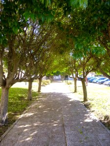 Madrid - El Pardo 28