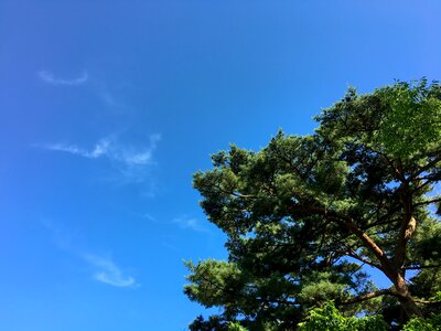 Korea beautiful park