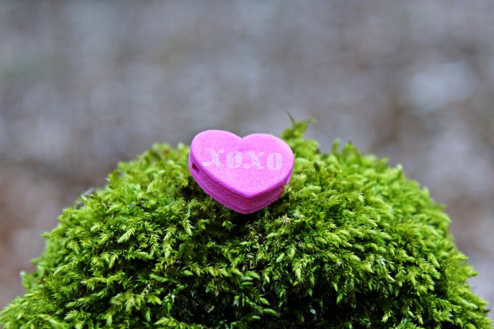 Valentine's day heart sweet