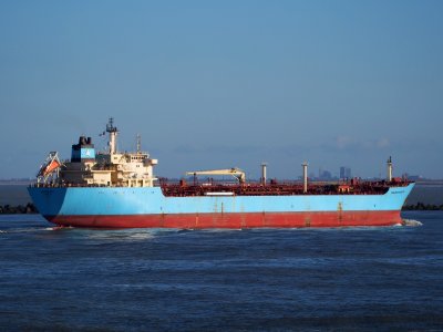 Maersk Rosyth (ship, 2003) IMO 9236987 arriving at Prot of Rotterdam pic3