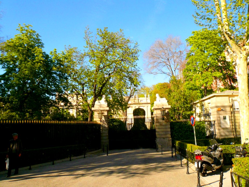 Madrid - Entrada al Palacio de Liria 3