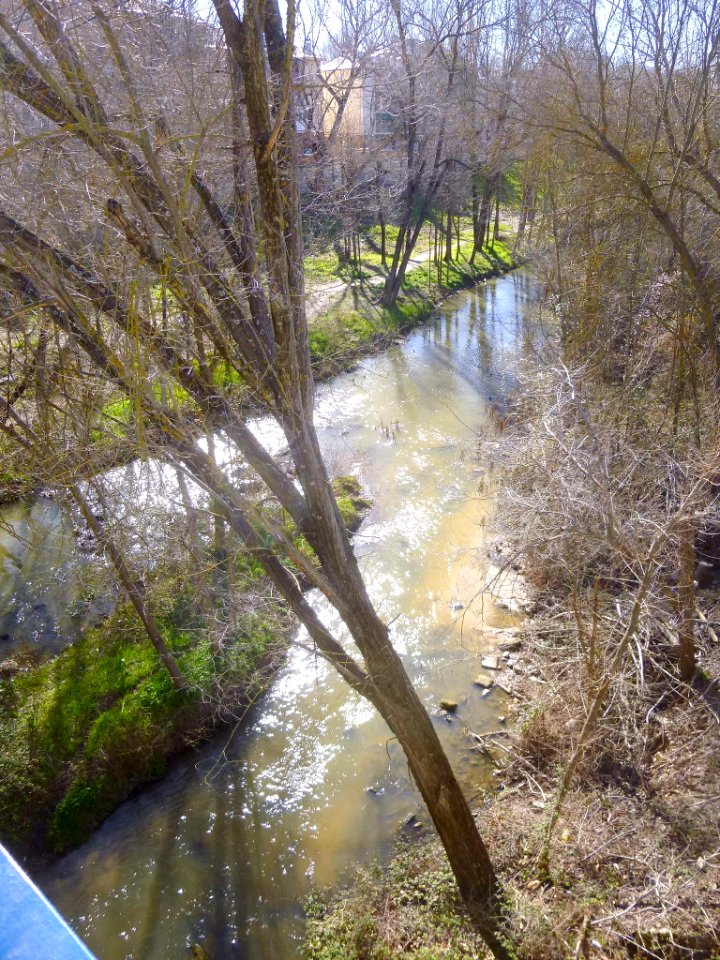 Madrid - El Pardo 26
