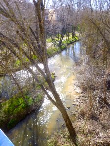 Madrid - El Pardo 26