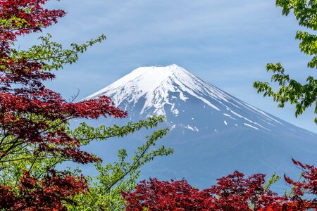 Japanese nature scene photo