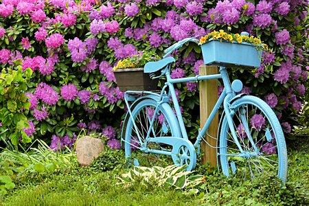 Deco garden summer flowers