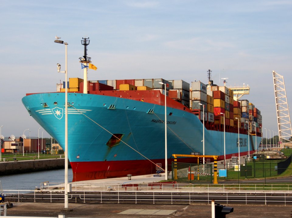 Maersk Kokura - IMO 9085560, Berendrechtsluis pic6