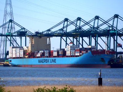 Maersk Lima (ship, 2010) IMO 9526875 Port of Antwerp