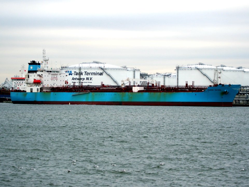 Maersk Tacoma (ship, 2015), IMO 9708617, Port of Antwerp pic1