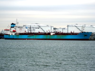 Maersk Tacoma (ship, 2015), IMO 9708617, Port of Antwerp pic1