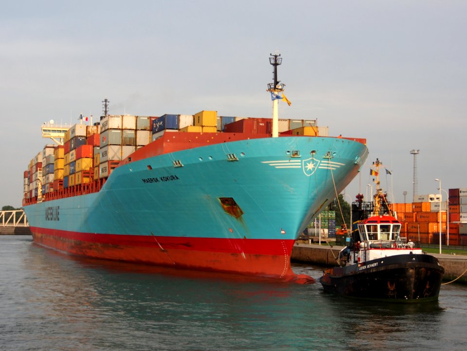 Maersk Kokura - IMO 9085560, Berendrechtsluis pic1