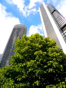 Madrid - CTBA, Torre Cepsa (Torre Foster) y Torre PwC 13