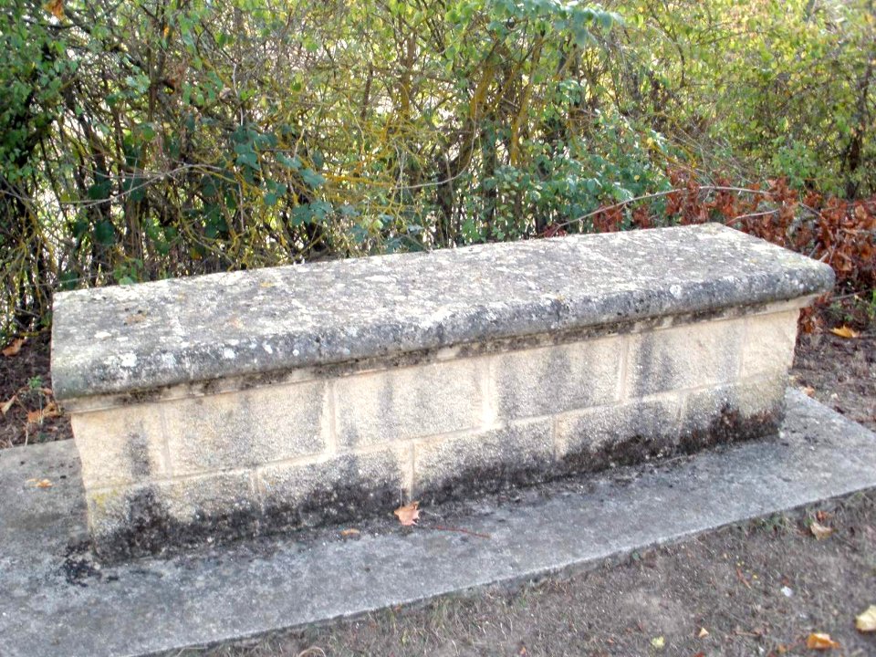 Maestu - Ermita de la Virgen del Campo 05