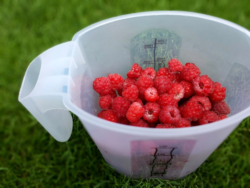 Picnic fruits raspberries