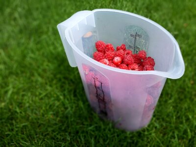 Picnic fruits raspberries