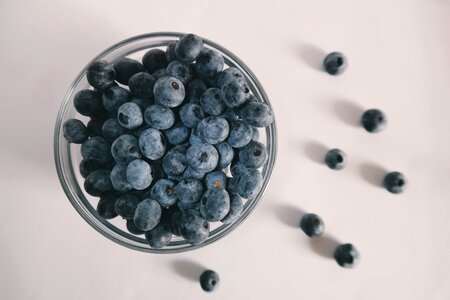 Blueberry food white