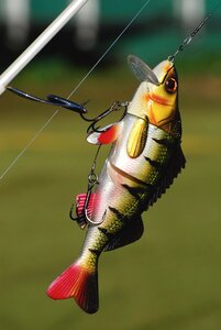 Tackle freshwater hook photo