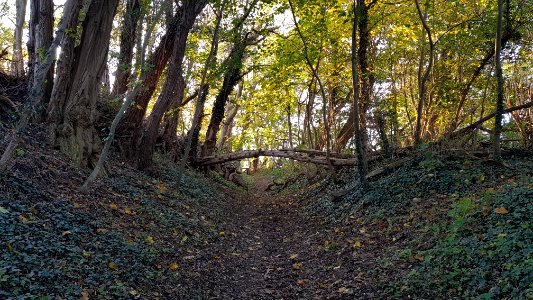 Maastricht-holle weg bij Ganzendries Sint-Pietersberg