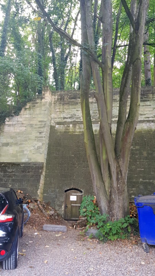 Maastricht-Keldertjes Slavante (1)