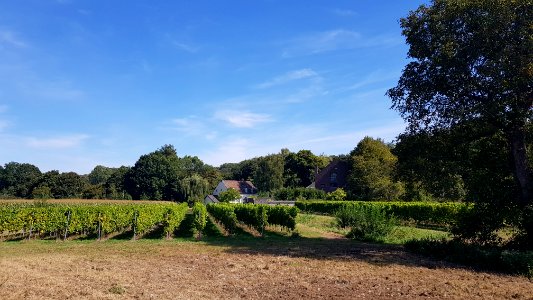 Maastricht-Nekummermolen (11)