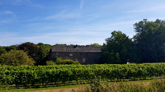 Maastricht-Hoeve Nekum (5)